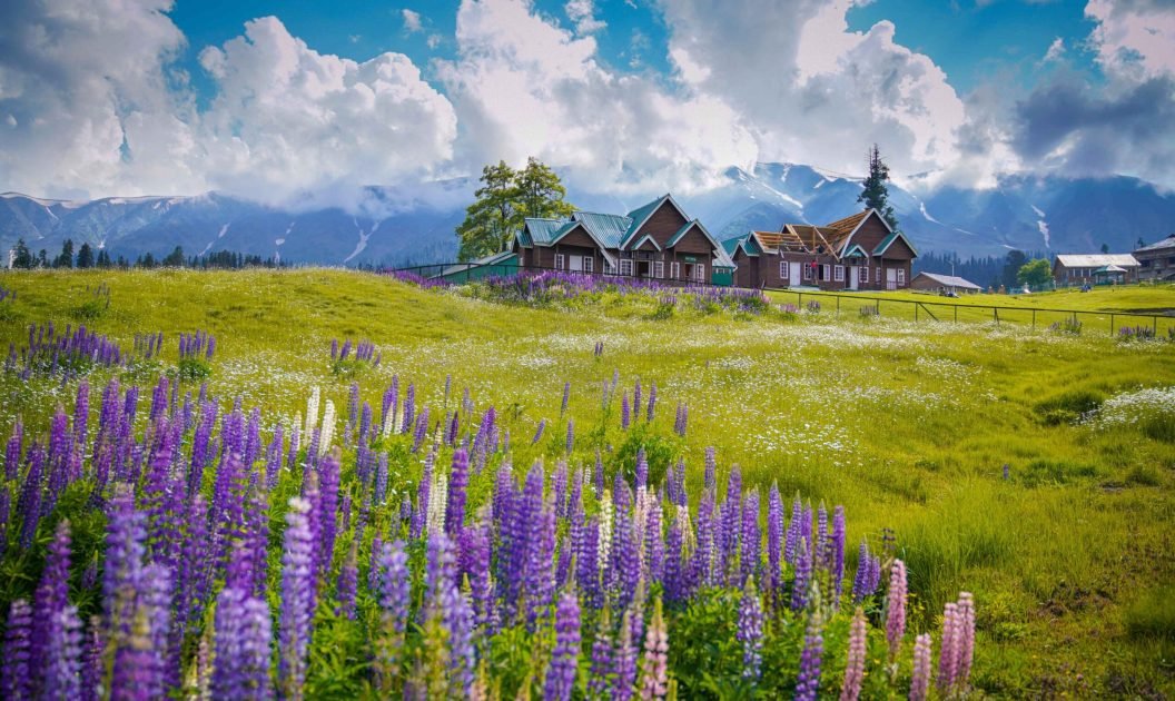 artfulwebdesignz (64)