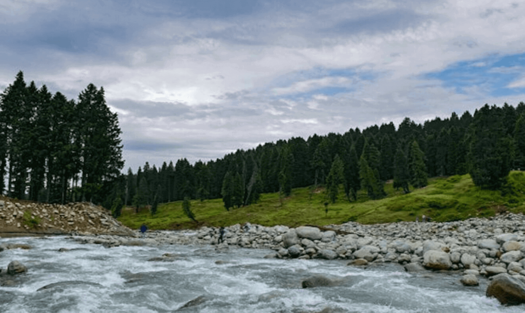 sa6suj7spcgNYXGMcRYeBpiQfRMymd21Ekp1oOlh